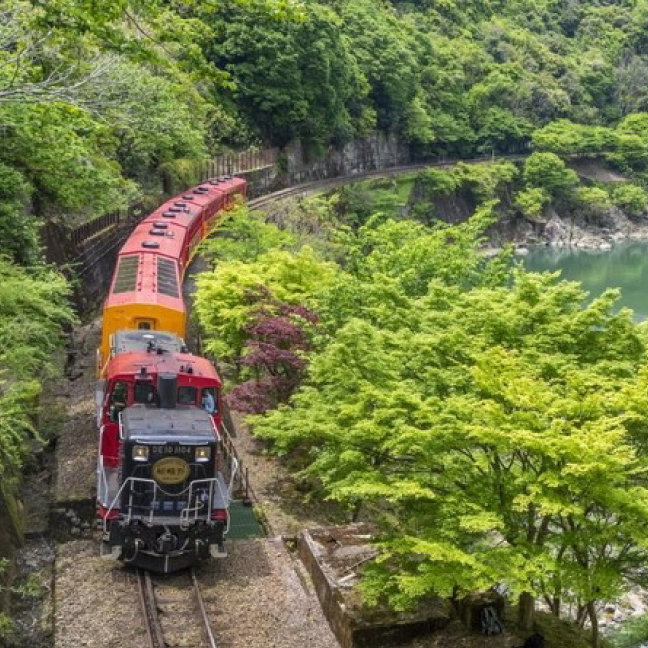 【日帰り 京都】～京都を彩る2つの乗り物を楽しむ～  トロッコ列車と人力車に乗り初夏の嵐山を満喫する旅